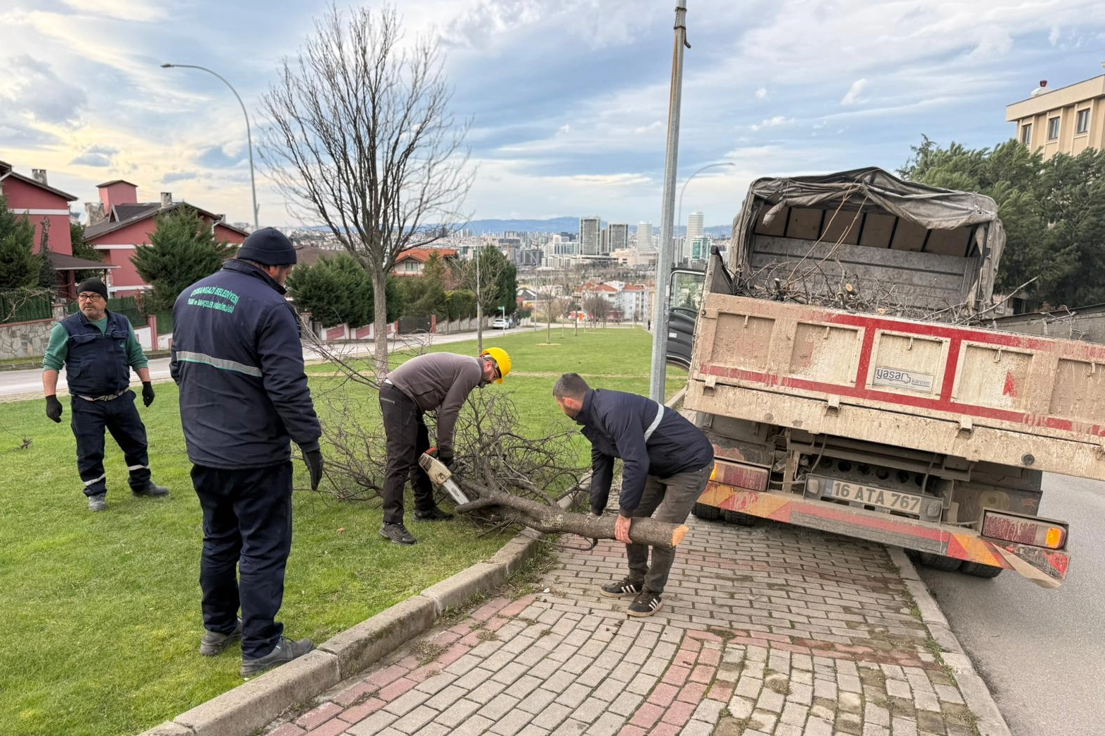 Bursa'da lodosun devirdiği ağa&ccedil;ları Osmangazi Belediyesi kaldırdı