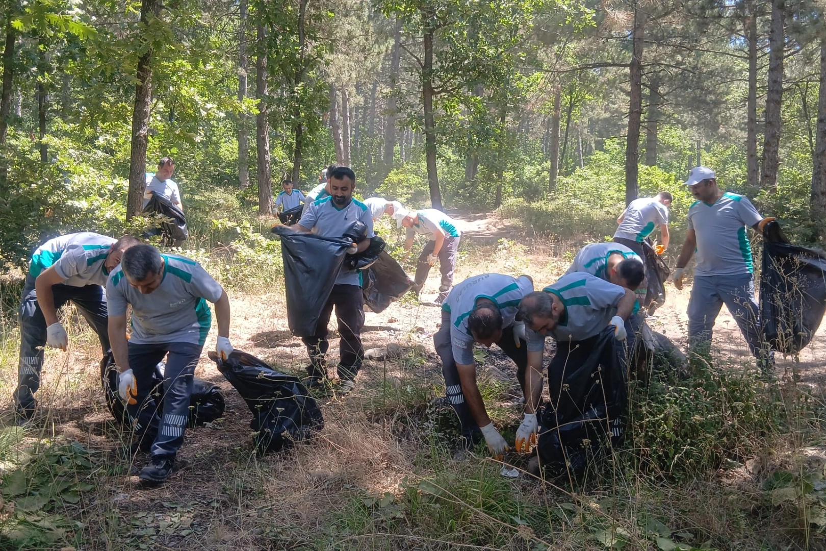 Bursa ormanlarında yangınlara karşı 'temizlik' seferberliği!