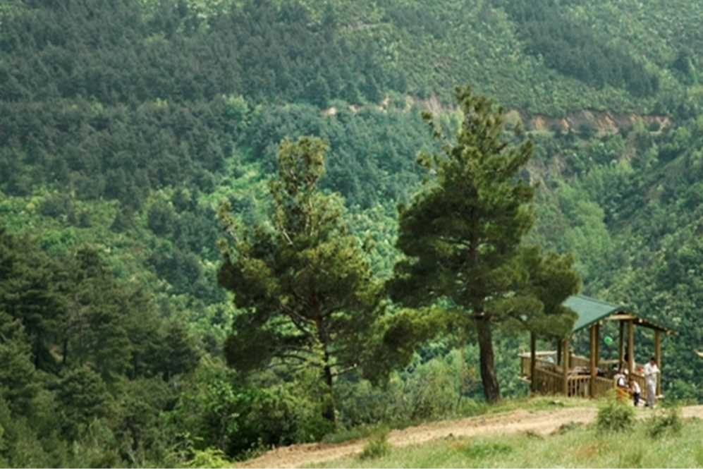 Bursa’da ormanlara giriş 15 Ekim'e kadar yasaklandı!