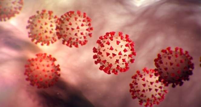 Bakanlıktan Omicron açıklaması