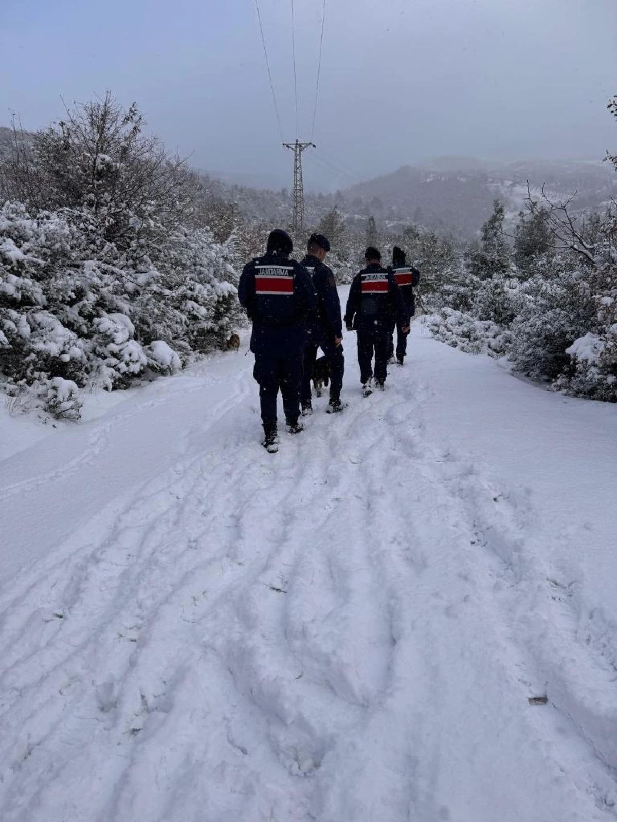 Bursa Jandarma 2026 yılının ilk kurtarma operasyonunu ger&ccedil;ekleştirdi