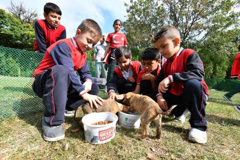 Küçük Kalplerden Barınağa Destek